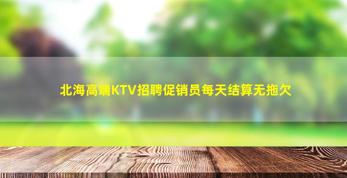 北海高端KTV招聘促销员每天结算无拖欠